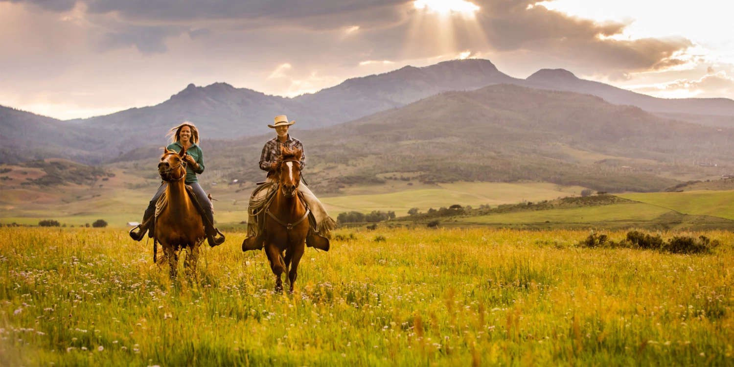 Deals Farm & Ranch Store -Deals Farm & Ranch Store 626