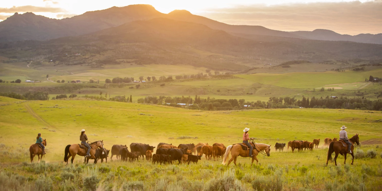 Deals Farm & Ranch Store -Deals Farm & Ranch Store 627