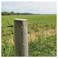 Hillman #9 1 LB Box Hot Dipped Galvanized Fence Staple, 461477, 1 IN -Deals Farm & Ranch Store sftp a s assets20201209000001167